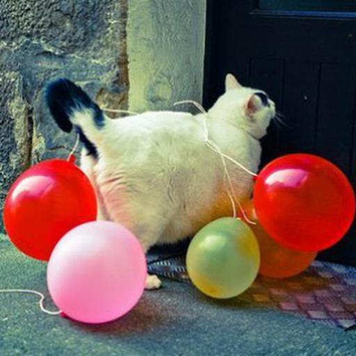 Аватар Алексей Полушкин